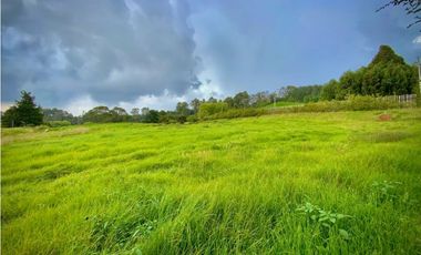 Venta Lote Plano Exotica Vista Parcelacion Alto Palmas