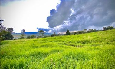 Venta Lote Plano Exotica Vista Parcelacion Alto Palmas