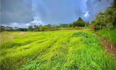 Venta Lote Plano Exotica Vista Parcelacion Alto Palmas