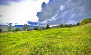Venta Lote Plano Exotica Vista Parcelacion Alto Palmas