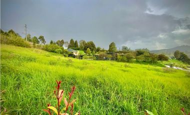 Venta Lote Plano Exotica Vista Parcelacion Alto Palmas