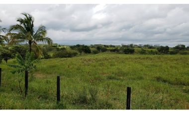 VENDO/ALQUILO TERRENO 46 HECTAREAS EN SANTA RITA DE ANTON