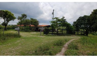 VENDO/ALQUILO TERRENO 46 HECTAREAS EN SANTA RITA DE ANTON