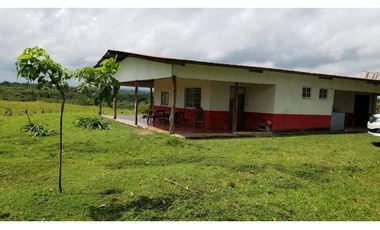 VENDO/ALQUILO TERRENO 46 HECTAREAS EN SANTA RITA DE ANTON