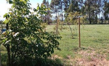 Vendo parcela en Alto Las Cruces