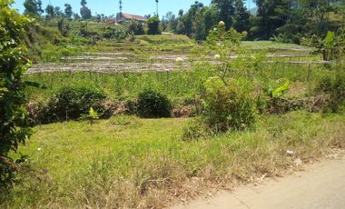5000 M2 Tanah Eks Kebun Bunga di Pinggir Jalan Cipare Babakan, Cipada 1, Cikalong Wetan, Bandung Barat