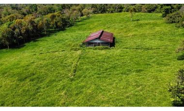 VENDO FINCA LECHERA DE 34 HECTAREAS + GALERAS+ FINCA DE SILO