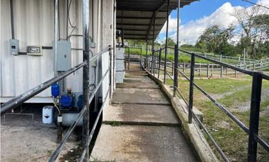 VENDO FINCA LECHERA DE 34 HECTAREAS + GALERAS+ FINCA DE SILO