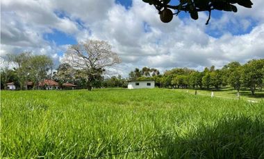 VENDO FINCA LECHERA DE 34 HECTAREAS + GALERAS+ FINCA DE SILO