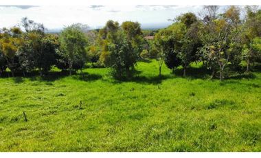 VENDO FINCA LECHERA DE 34 HECTAREAS + GALERAS+ FINCA DE SILO