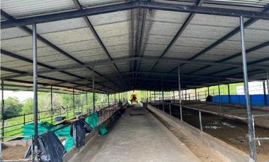 VENDO FINCA LECHERA DE 34 HECTAREAS + GALERAS+ FINCA DE SILO