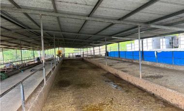 VENDO FINCA LECHERA DE 34 HECTAREAS + GALERAS+ FINCA DE SILO