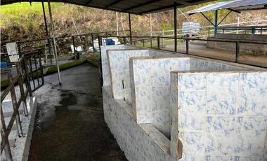 VENDO FINCA LECHERA DE 34 HECTAREAS + GALERAS+ FINCA DE SILO