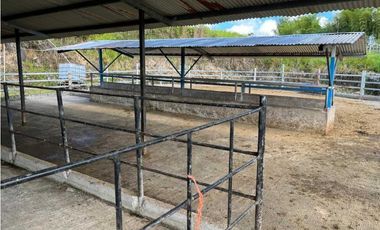 VENDO FINCA LECHERA DE 34 HECTAREAS + GALERAS+ FINCA DE SILO