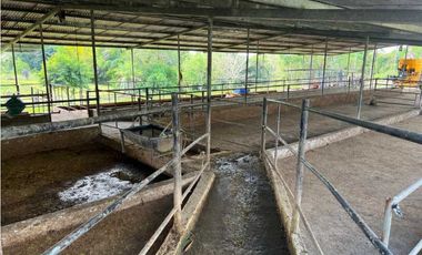 VENDO FINCA LECHERA DE 34 HECTAREAS + GALERAS+ FINCA DE SILO