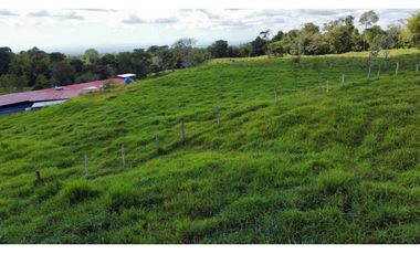 VENDO FINCA LECHERA DE 34 HECTAREAS + GALERAS+ FINCA DE SILO