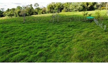 VENDO FINCA LECHERA DE 34 HECTAREAS + GALERAS+ FINCA DE SILO