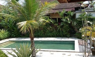 DIJUAL VILLA MEWAH DI JUNJUNGAN BALI, HARGA MURAH COCOK UNTUK INVESTASI