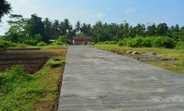 Dijual Tanah Dekat Polsek Ngombol Fasum Row 5 Meter Jalan Nasional