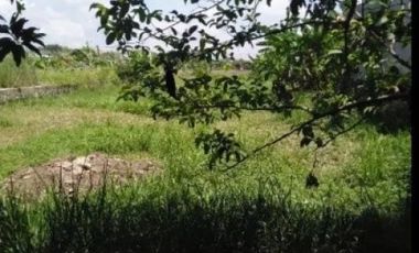 Tanah dijual di Jawa Timur, Mojokerto Kota