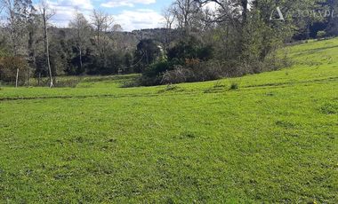 Sitio en Venta en Campo Doña Silvia, sector Concordia, Frutillar