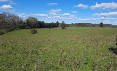 Sitio en Venta en Campo Doña Silvia, sector Concordia, Frutillar