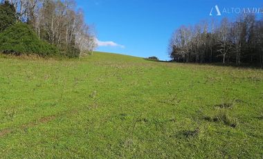 Sitio en Venta en Campo Doña Silvia, sector Concordia, Frutillar