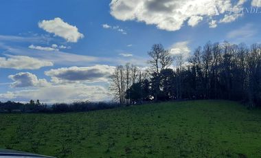 Sitio en Venta en Campo Doña Silvia, sector Concordia, Frutillar