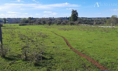 Sitio en Venta en Campo Doña Silvia, sector Concordia, Frutillar