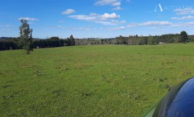 Sitio en Venta en Campo Doña Silvia, sector Concordia, Frutillar
