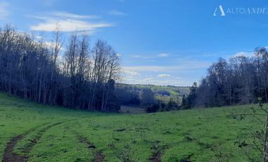 Sitio en Venta en Campo Doña Silvia, sector Concordia, Frutillar