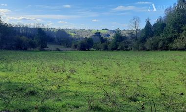 Sitio en Venta en Campo Doña Silvia, sector Concordia, Frutillar