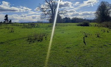 Sitio en Venta en Campo Doña Silvia, sector Concordia, Frutillar