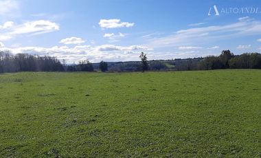 Sitio en Venta en Campo Doña Silvia, sector Concordia, Frutillar