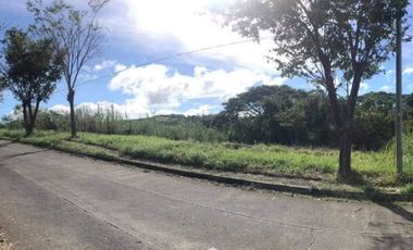 For sale! Vacant lot in Eastland Heights in Antipolo City 480 sqm