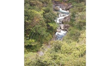 Se Vende Finca en Caldera