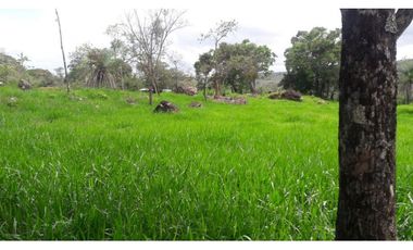 Se Vende Finca en Caldera