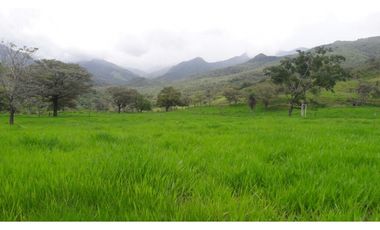 Se Vende Finca en Caldera