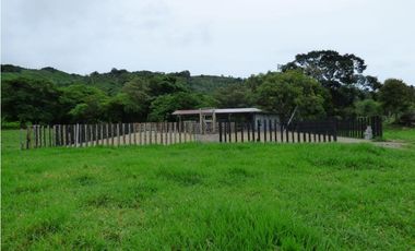 Se Vende Finca en Caldera
