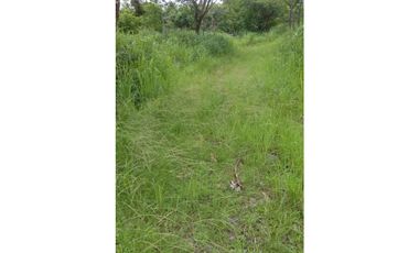 Se Vende Finca en Caldera