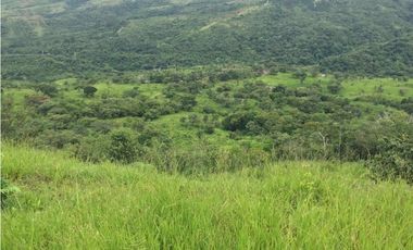 Se Vende Finca en Caldera