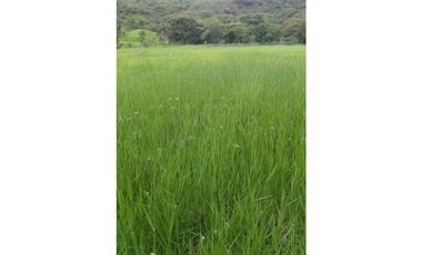 Se Vende Finca en Caldera