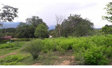 Lote en ubicación estratégica