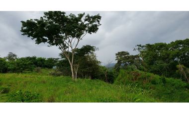 Lote en ubicación estratégica