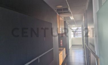 Arriendo Amplia oficina en Centro de Concepción