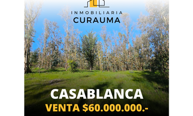 CASABLANCA / EL BATRO / TERRENOS 5.000 M2