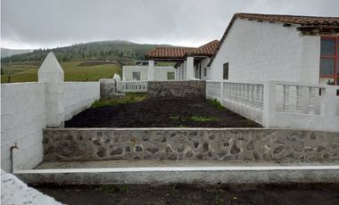 Hacienda de venta sector Latacunga 246 hectáreas productivas.