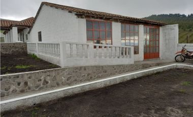 Hacienda de venta sector Latacunga 246 hectáreas productivas.