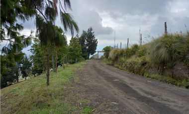 Hacienda de venta sector Latacunga 246 hectáreas productivas.