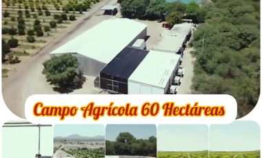 Oportunidad de inversión en terreno agrícola de 60 hectáreas cerca de Hermosillo!